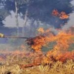Supreme Court dismisses petition seeking ban on stubble burning in Punjab and Haryana